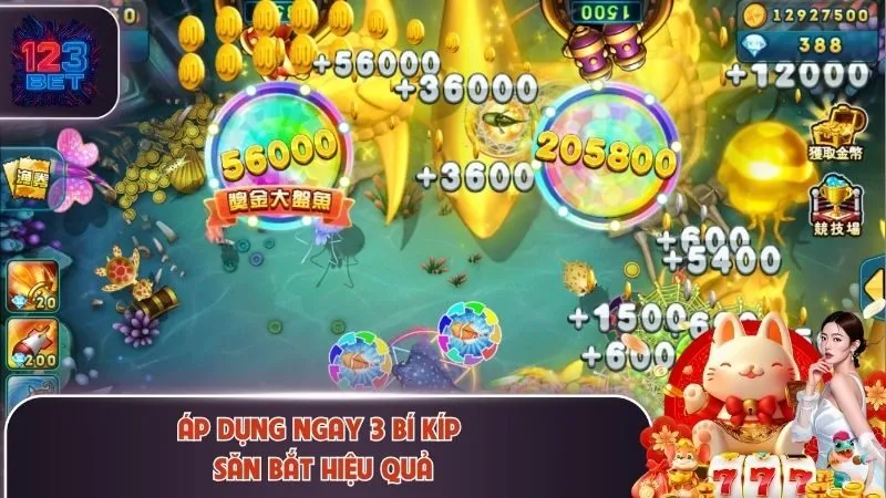 Áp dụng ngay 3 bí kíp săn bắt hiệu quả