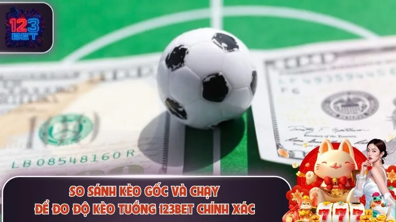 So sánh chi tiết để đo mức độ chính xác